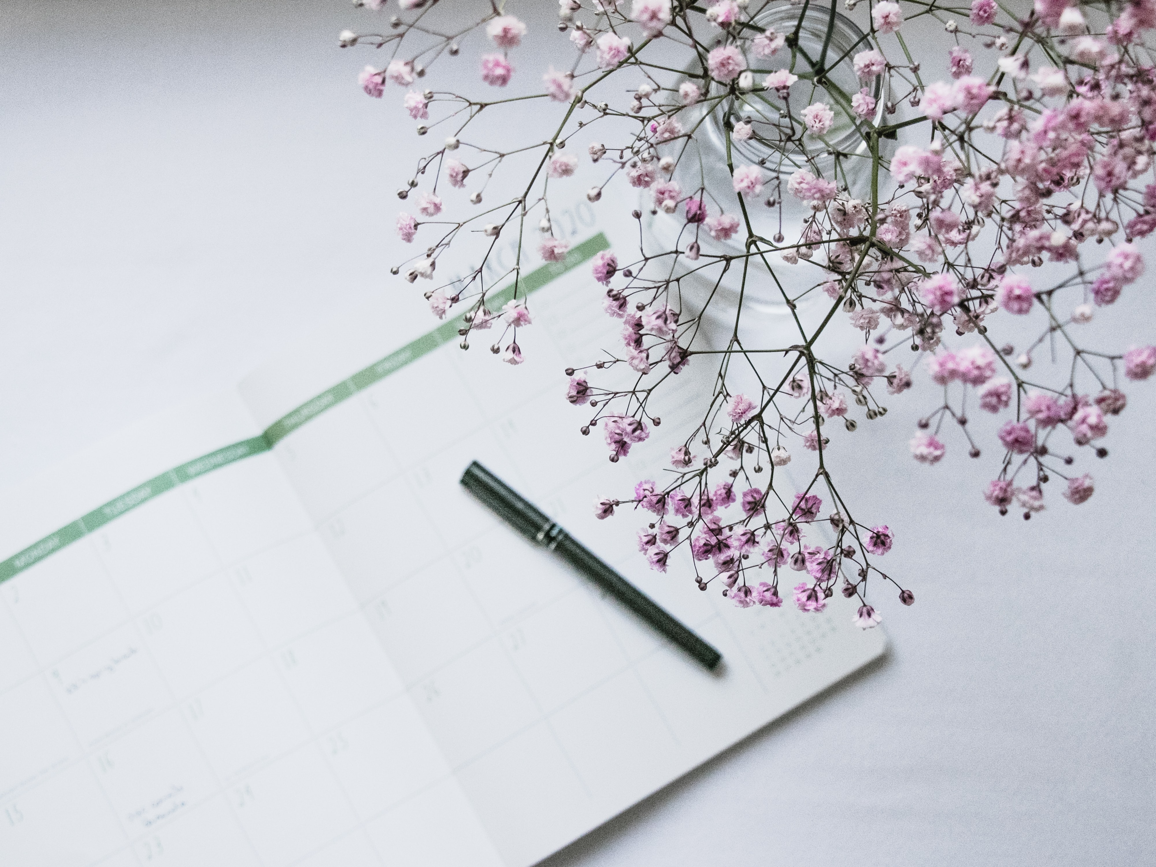 minimalist planner with pretty pink flowers